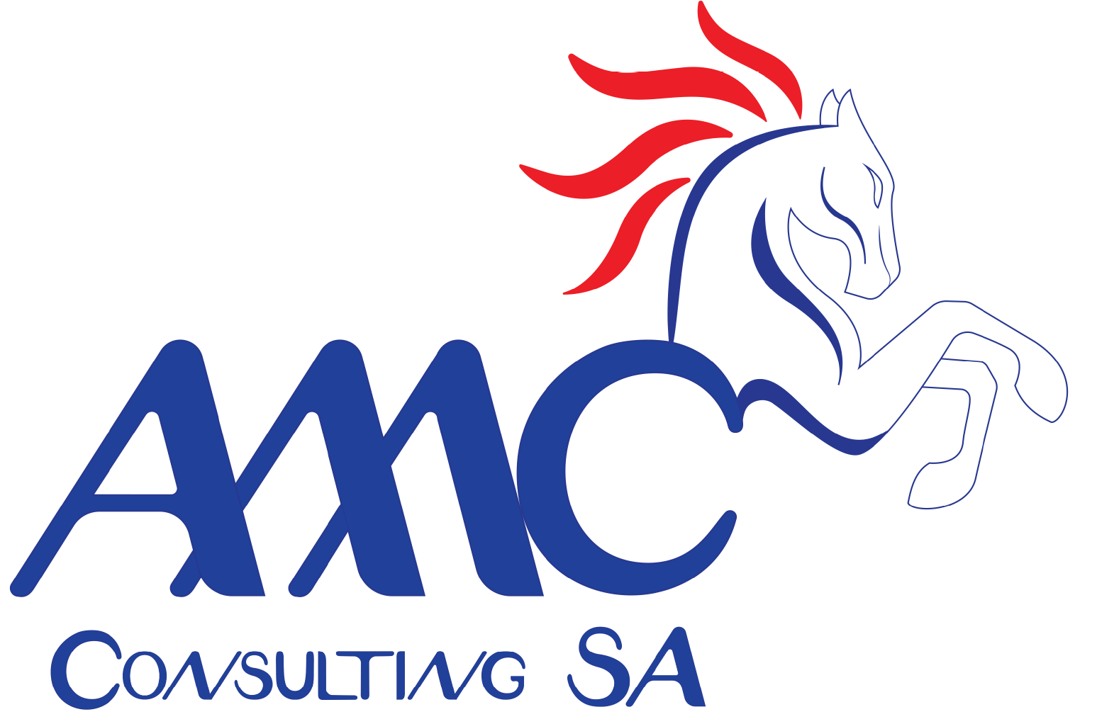 AMC Consulting SA